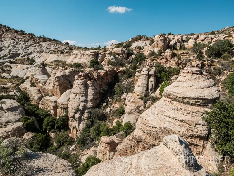 Footsteps from Dana to Petra's Rose City