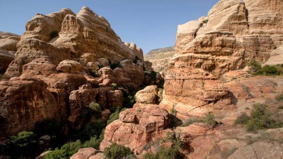Destinations  Feynan