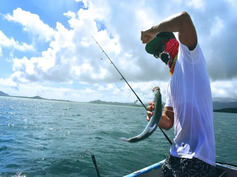 Red Sea Fishing: Cast and Catch